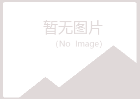 北京紫山制造有限公司